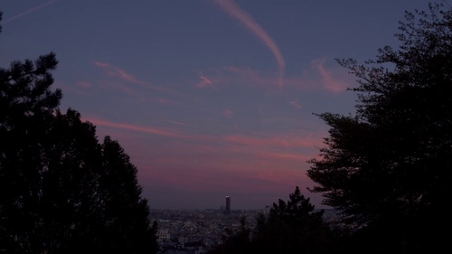 An extract from *Crush* (2020), directed by Agathe Saule (ESAV, 2020) with one of the two tracks I made for this movie.